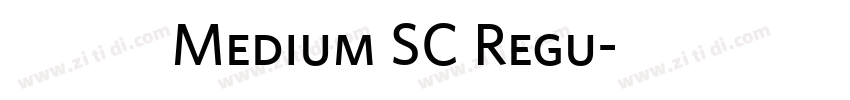 蒙纳凌慧体 Medium SC Regu字体转换